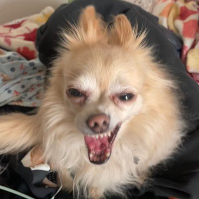 _AGRAGR's tweet photo. #NuevaFotoDePerfil https://t.co/mNcWXSLXAz