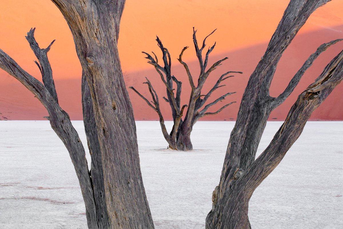 Richard Bernabe tweet media