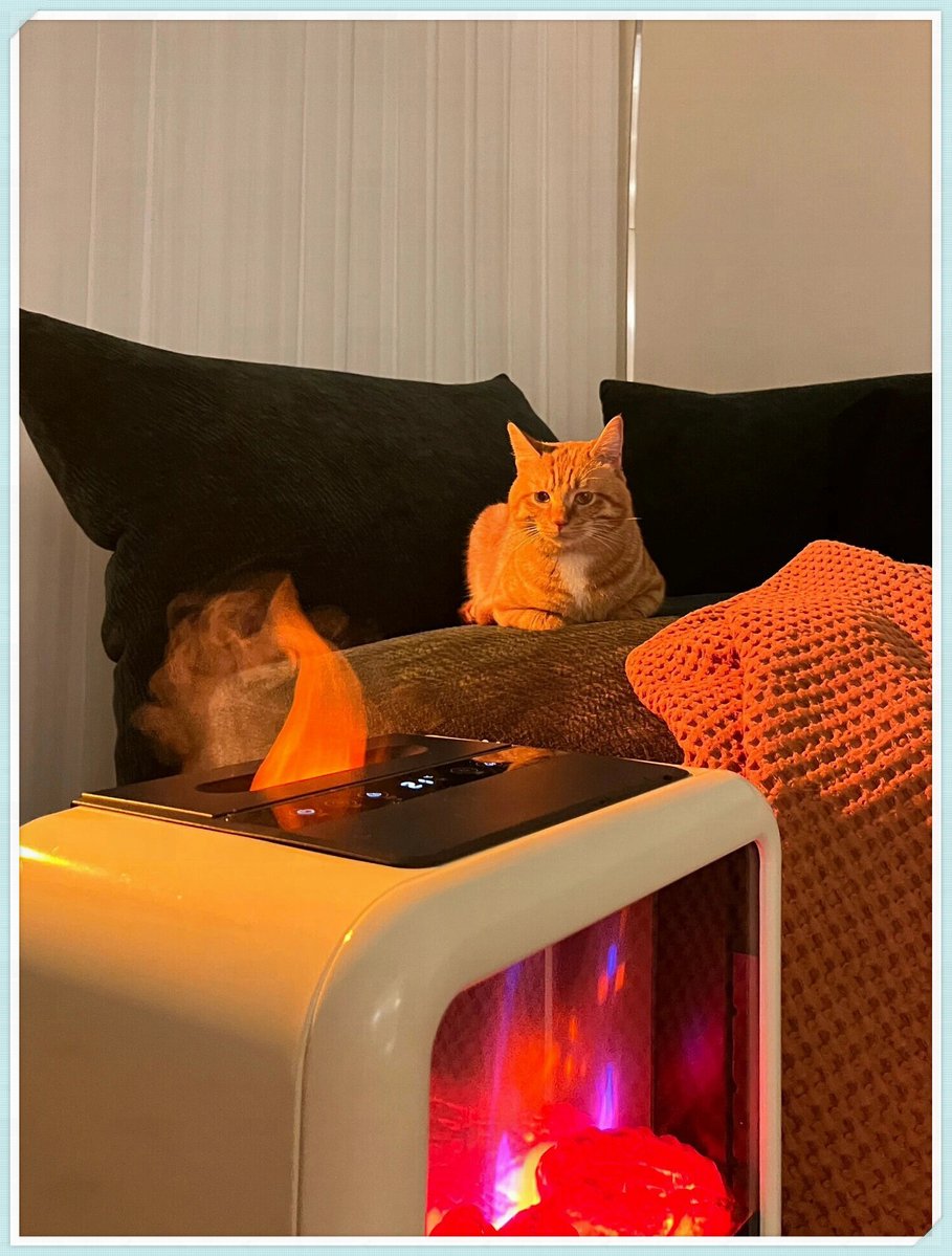 DAIANE DE S SILVA tweet media