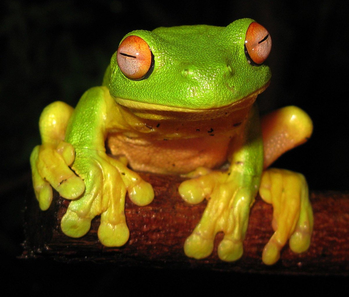 Stats Globe tweet media