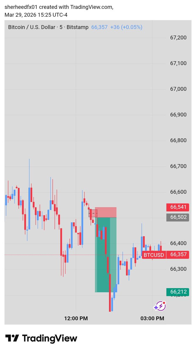 sherheedmsa tweet media