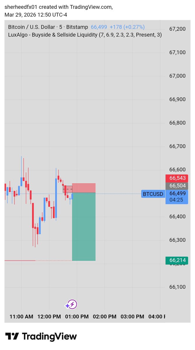 sherheedmsa tweet media