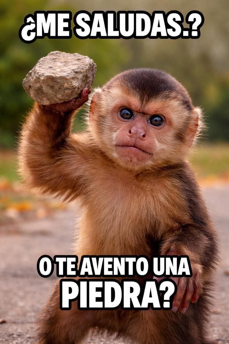 🌹✨ 𝒜𝒩𝒟𝑅𝐸𝒜 ✨🌹 tweet media