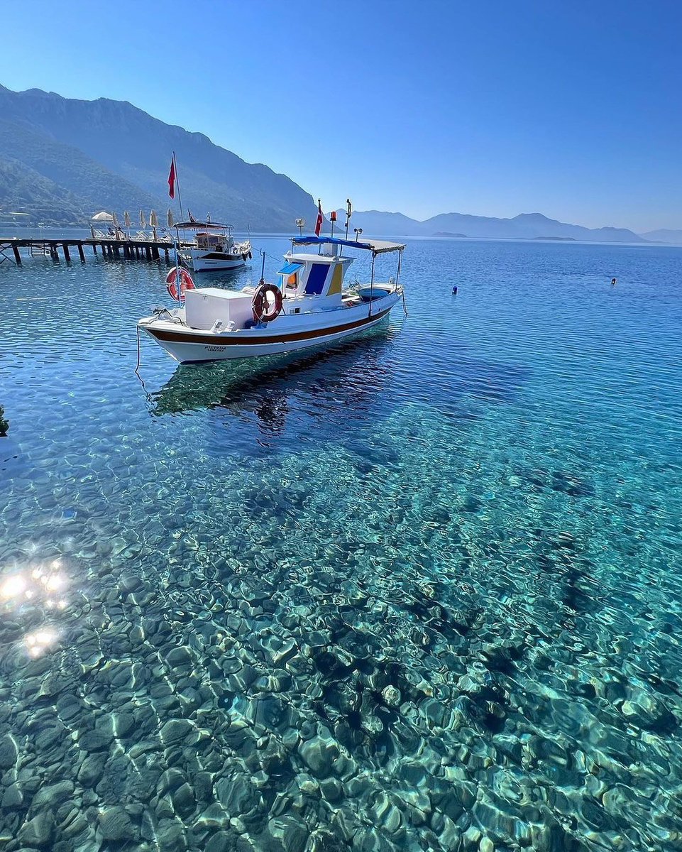 Gitmeliyiz tweet media