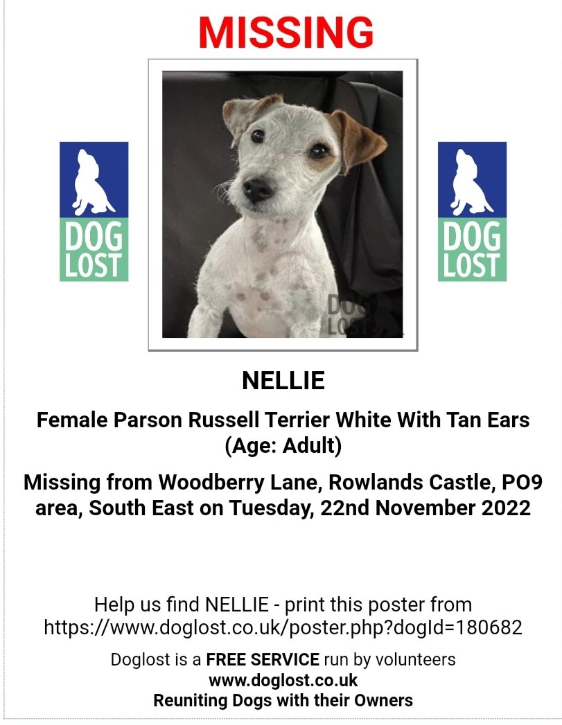 Missing Pets GB tweet media