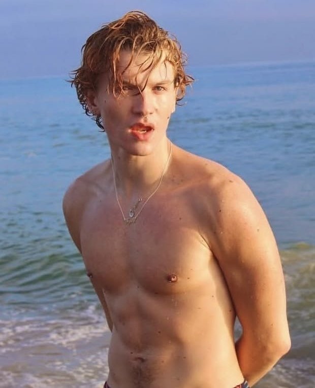 daily connor tweet media