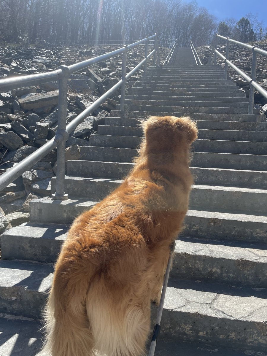 Burjackt 🇺🇸 tweet media