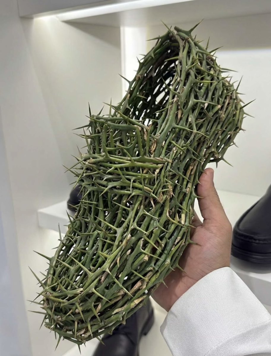 صدام tweet media