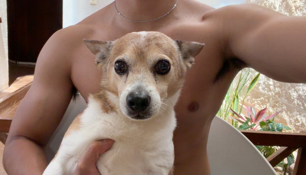 Memo Venti tweet media