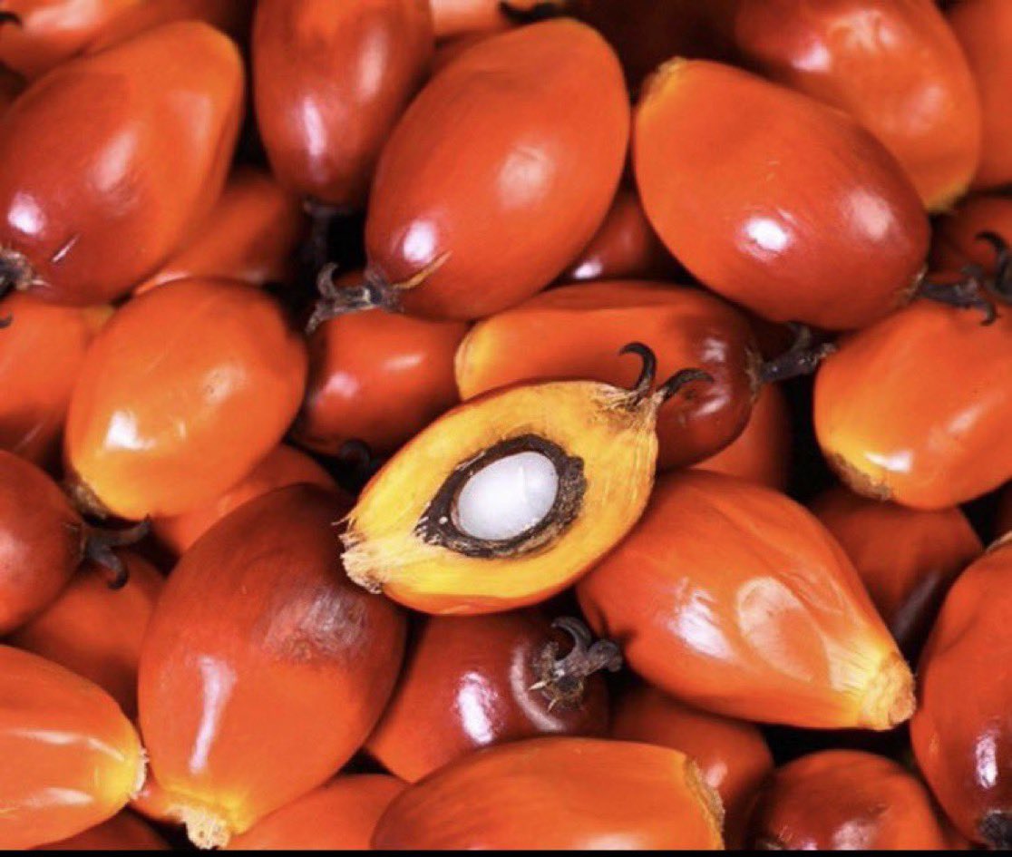 breastmp_ tweet media