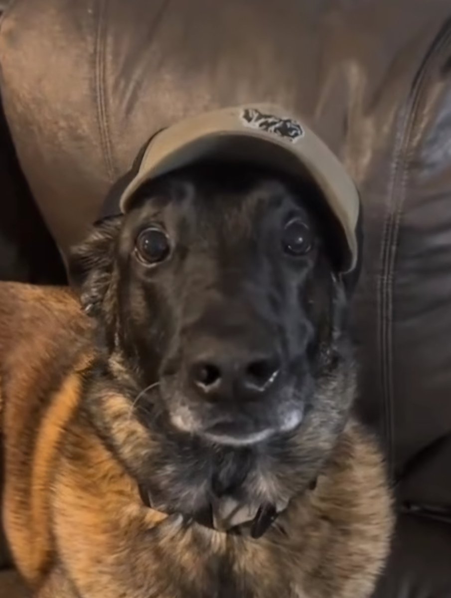 ƬƤ King Micro21 👑 tweet media