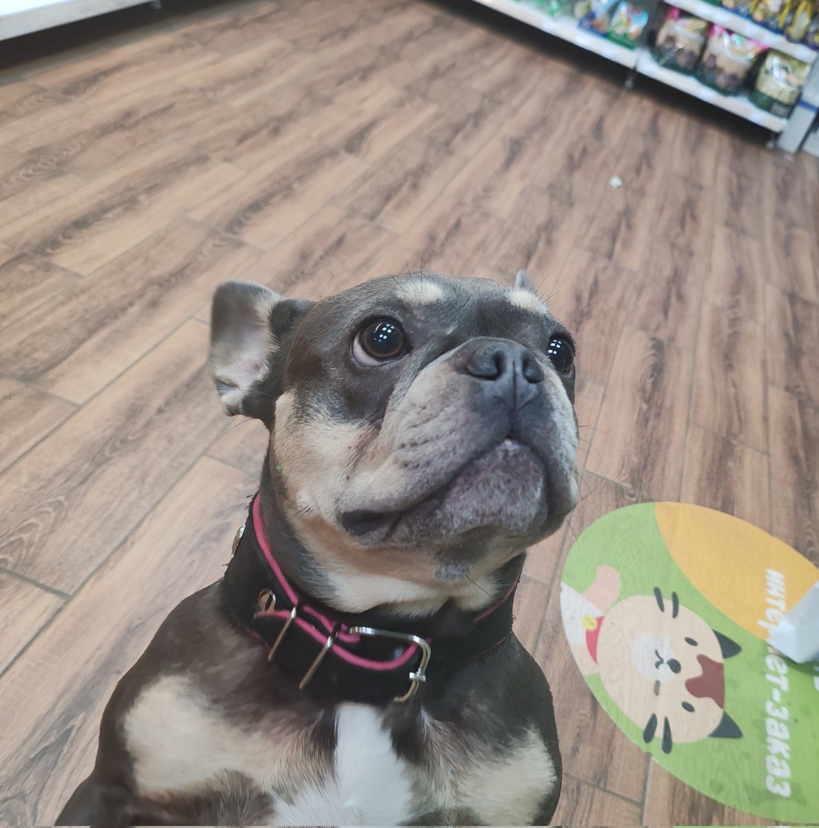 BadAngryPanda tweet media