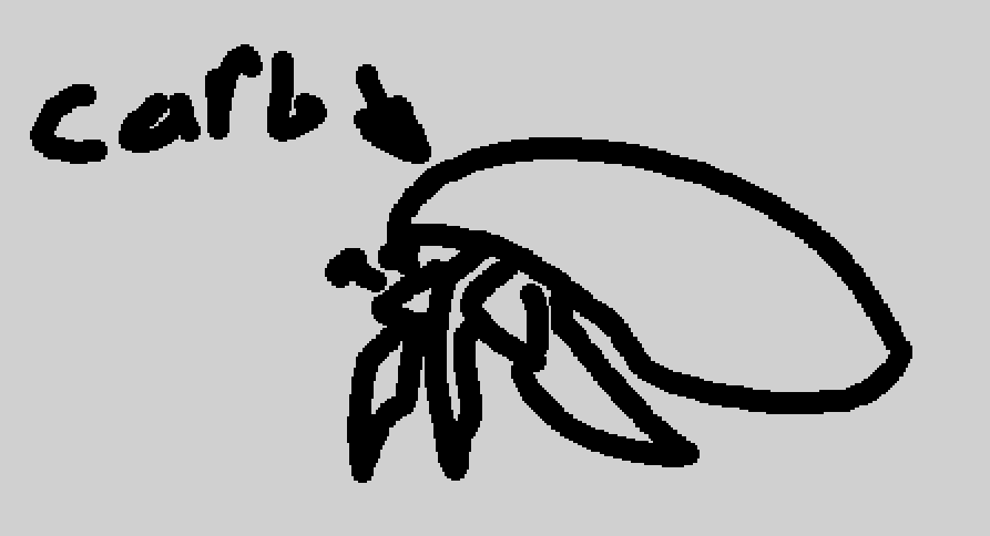 cherry @ STREAM I LOVE BUGS tweet media