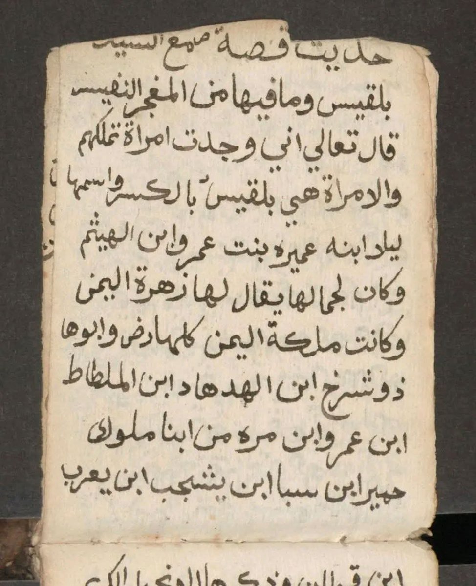 طارق سعيد المذحجي 𐩷𐩱𐩧𐩤|𐩪𐩲𐩺𐩵|𐩱𐩡𐩣@TAREQMD tweet media