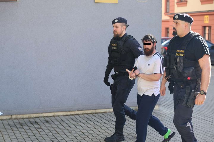 Marcela Havlíčková tweet media