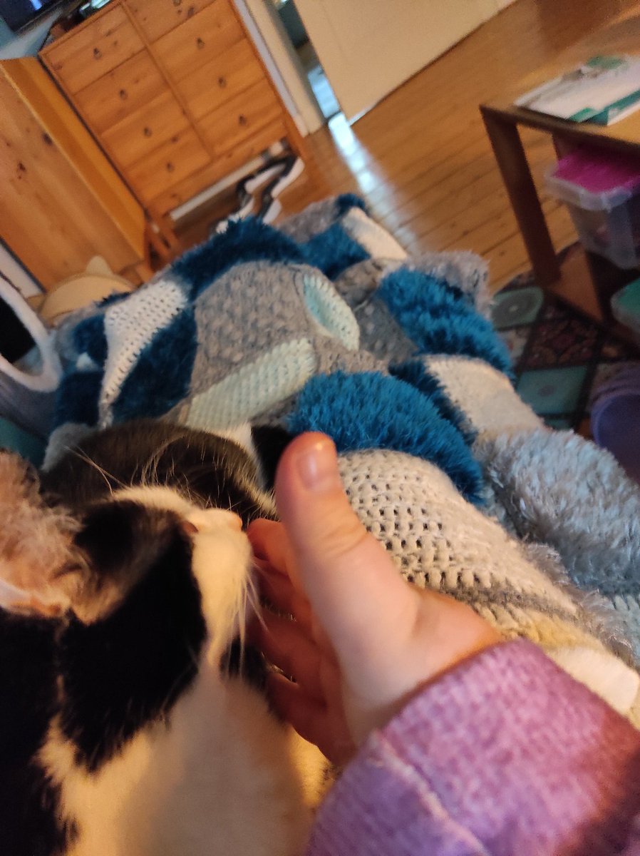 Rockkitties tweet media