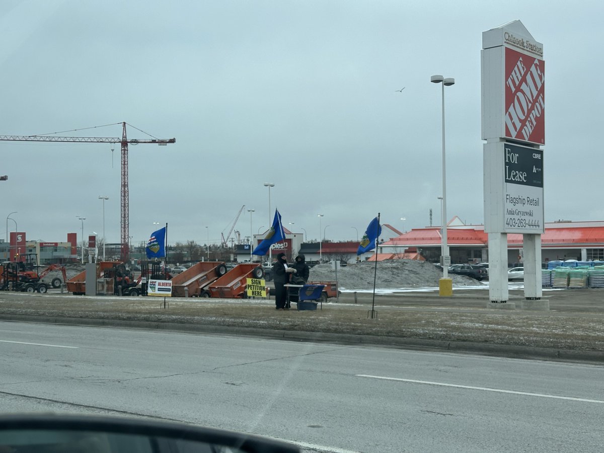 Angelica tweet media