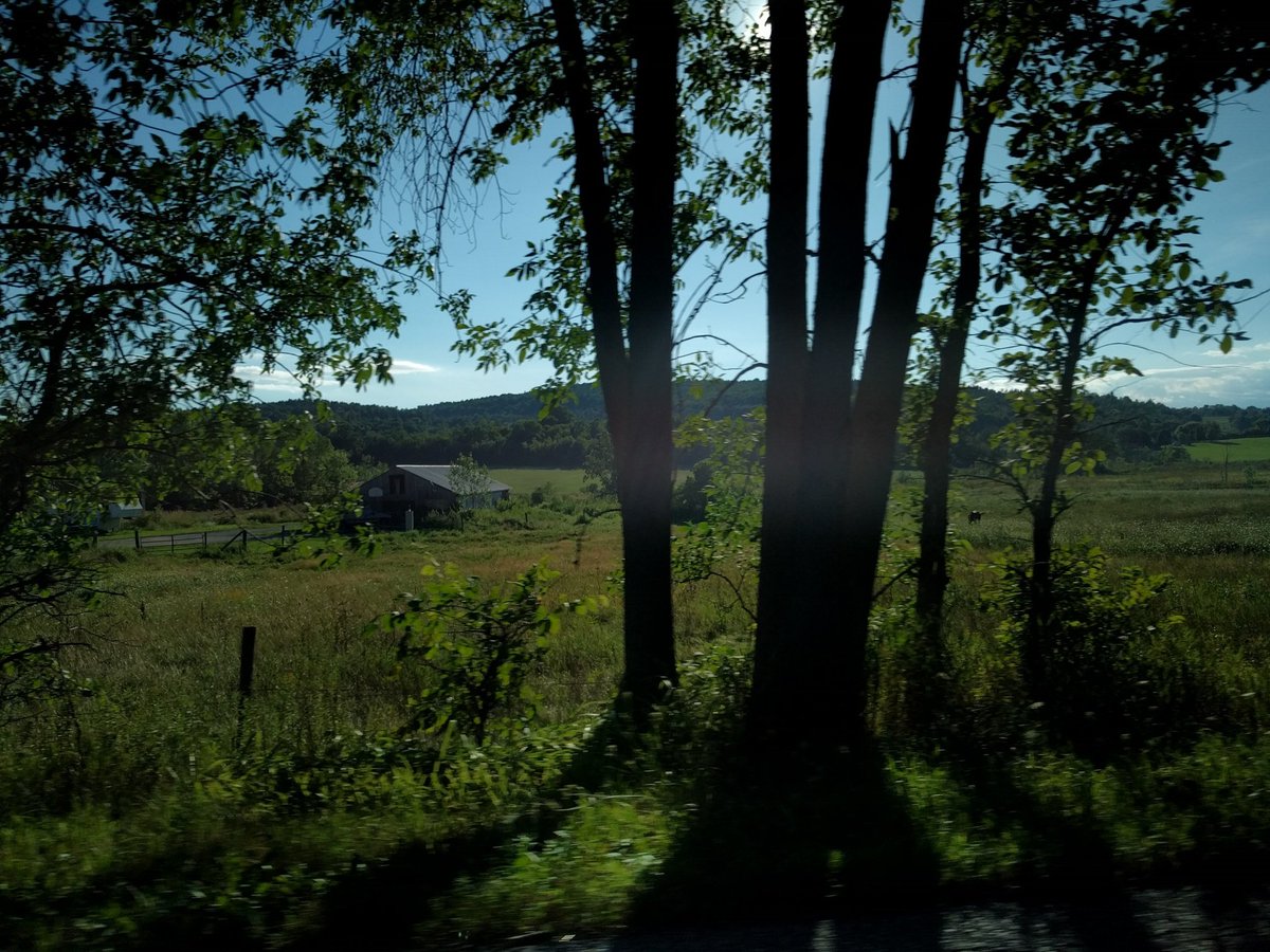 𝑵𝒆𝒓𝒆𝒊𝒅 ♡🦢 tweet media