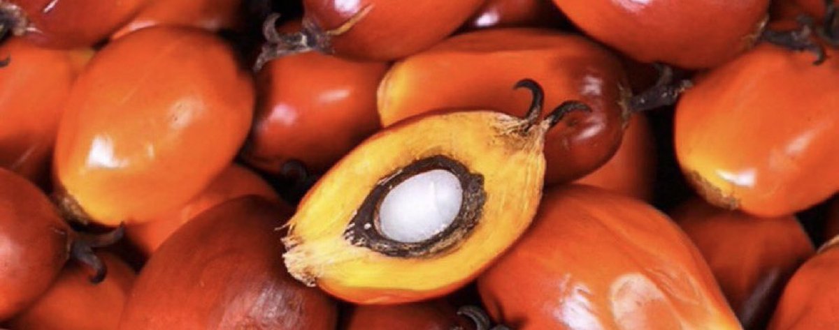 june🦇 tweet media