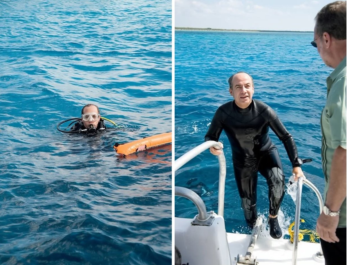 Oveja Dolly tweet media