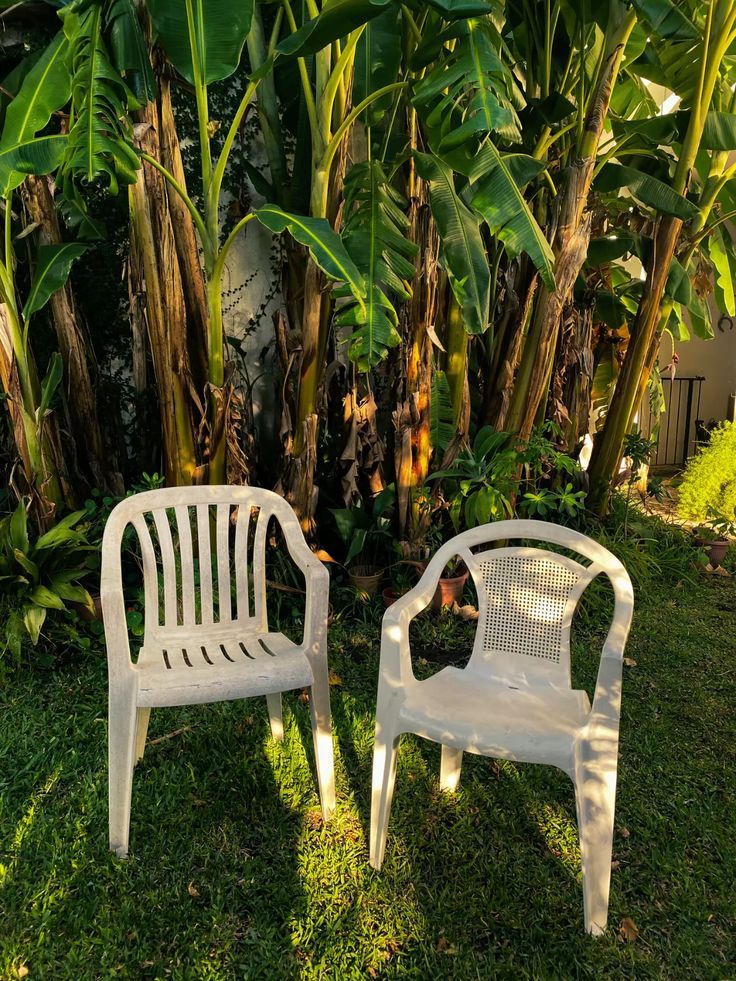 ミ𝗠𝗼𝗻𝗸𝗲𝘆 𝕯. 𝗟𝘂𝗳𝗳𝘆 tweet media