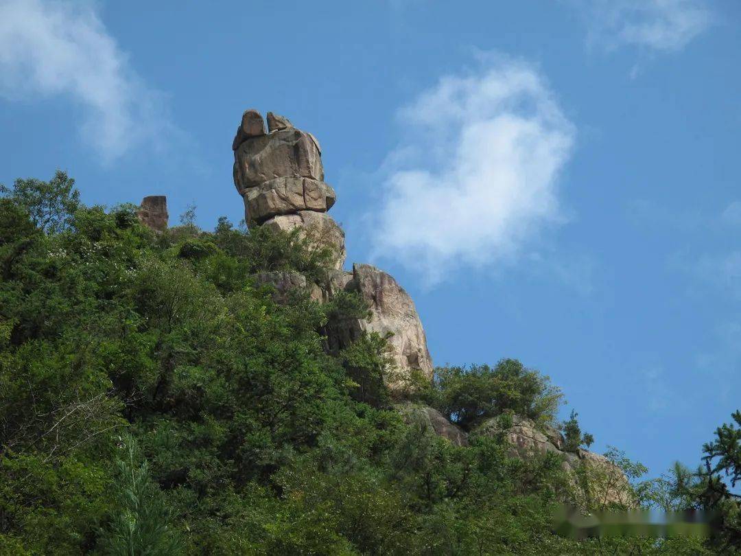 thad thomas tweet media