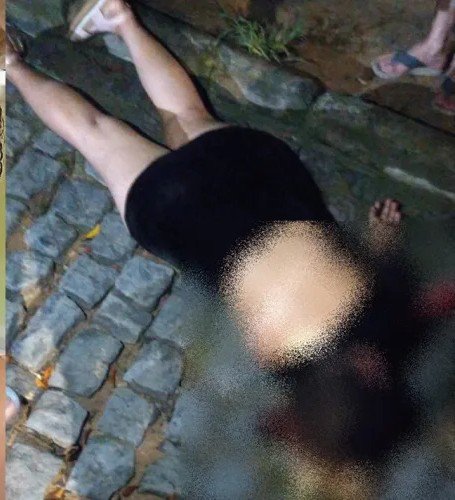 Notícias Paralelas tweet media