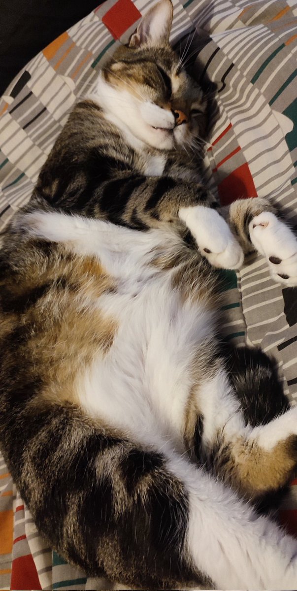 PlanB🩺⚕️ tweet media