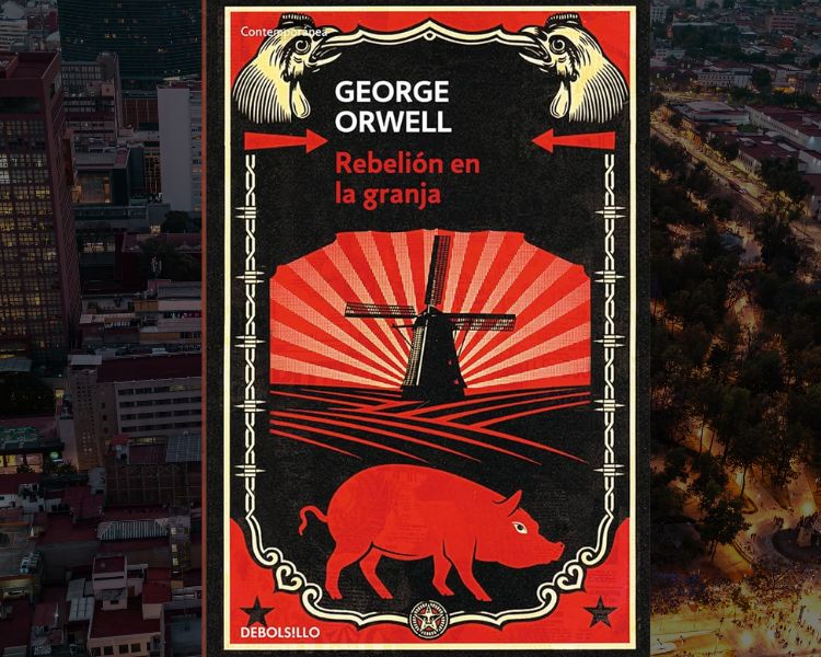 🍁Kornel🇵🇦 tweet media