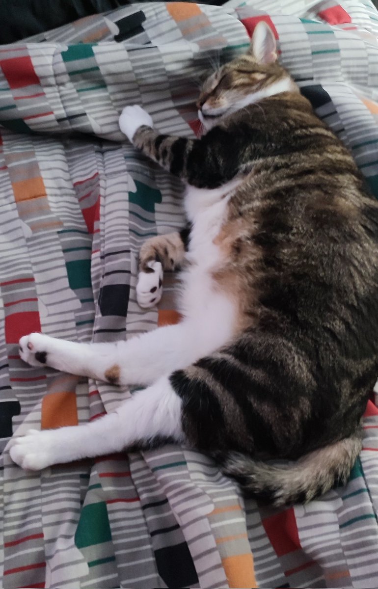 PlanB🩺⚕️ tweet media