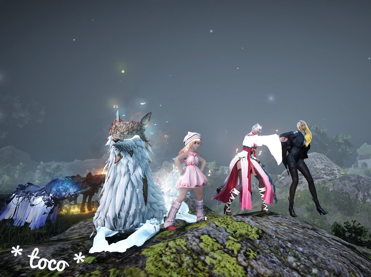 * toco * tweet media