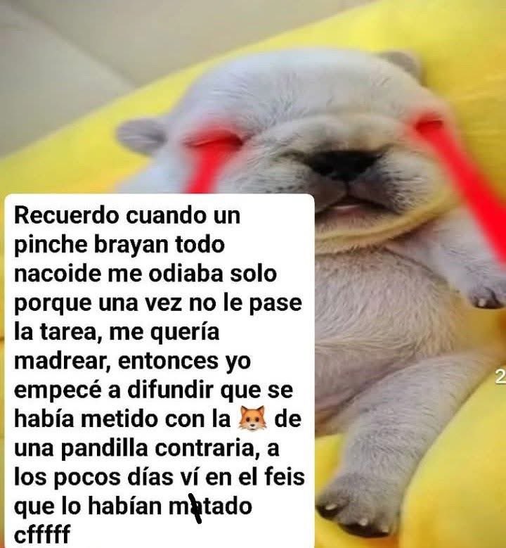 Alec the Rock!🎸💕 tweet media