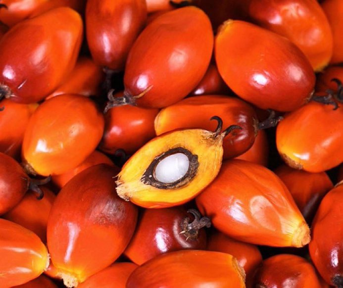 Investor tweet media