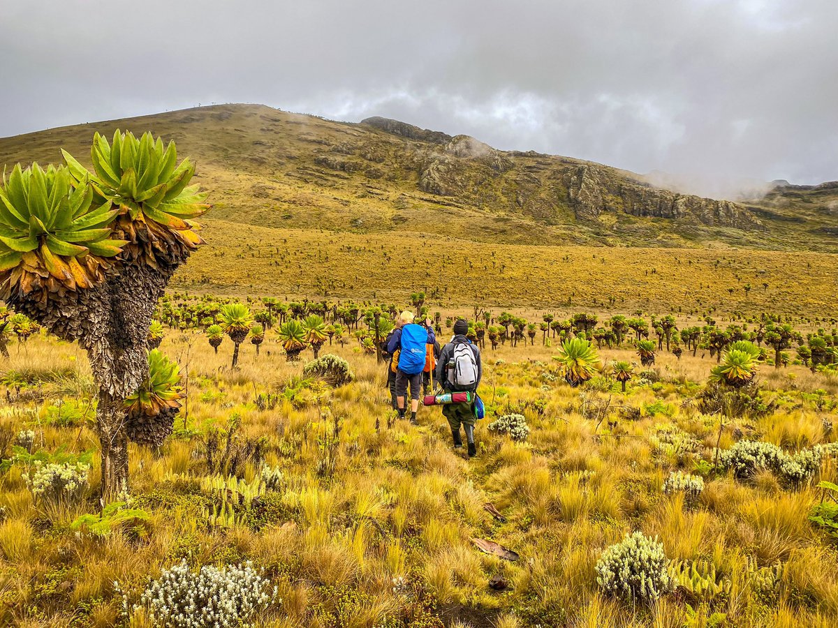 Mt Elgon's got magic Uganda's oldest volcano with stunning hikes, caves &amp; views. #MtElgon #AdventureUganda #GoldenPosts