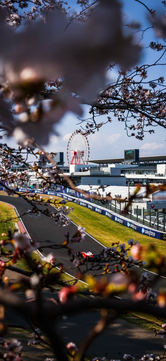 F1 Wallpapers tweet media