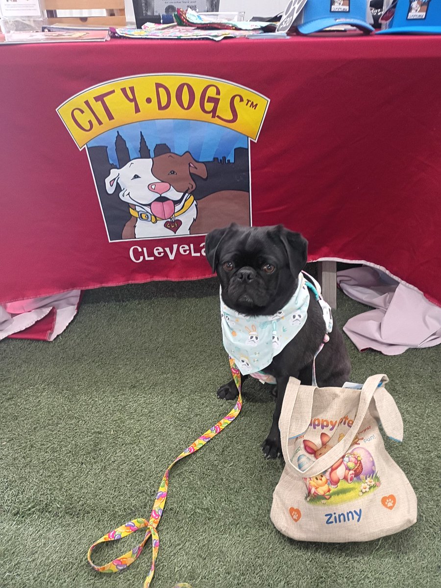 Angel Mushu😇🌈, Zinny🖤, Winny💓, Lucy tweet media