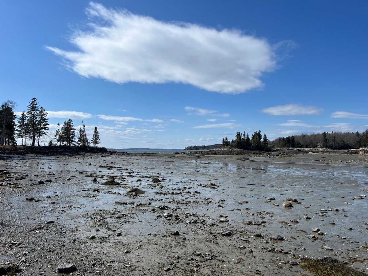 Macaulay Trollkin 🦞 tweet media