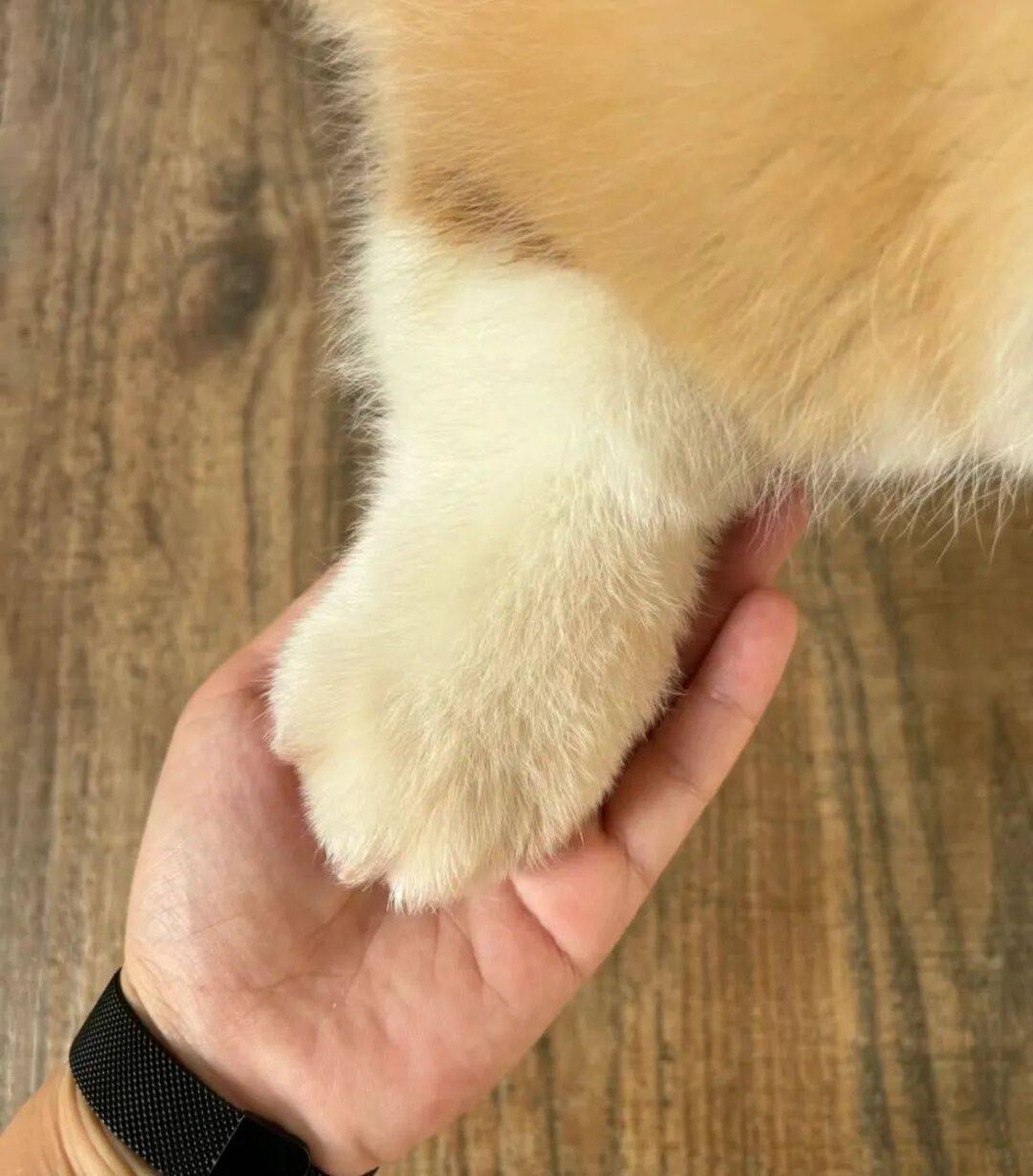 Rick Verbeek tweet media