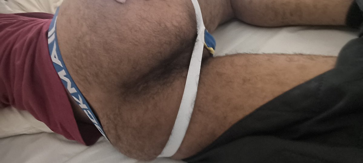 caçador de 🐻 tweet media