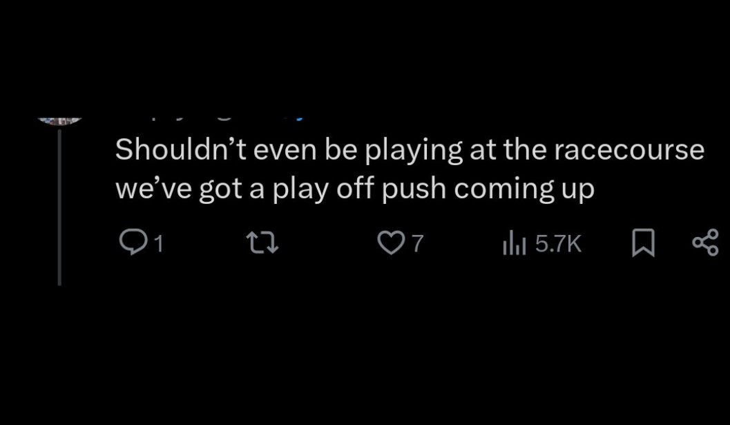 The Common Bluebird tweet media