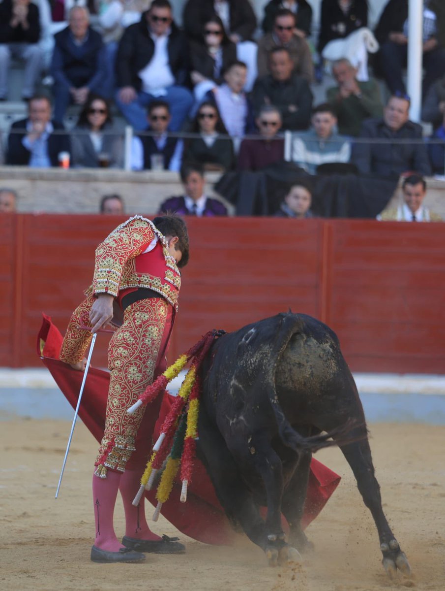 SaulNAmado's tweet photo. Clasificatoria del Alfarero de Plata. Jaime Torija tiene poderío y detalle torero. Me ha gustado con el mejor de Los Mimbrales. Rubén Vara domina todos los tercios. Es torero de casta. Sensacional el final con la muleta.
📸 @Villasecatoros https://t.co/wUySoMOX2R