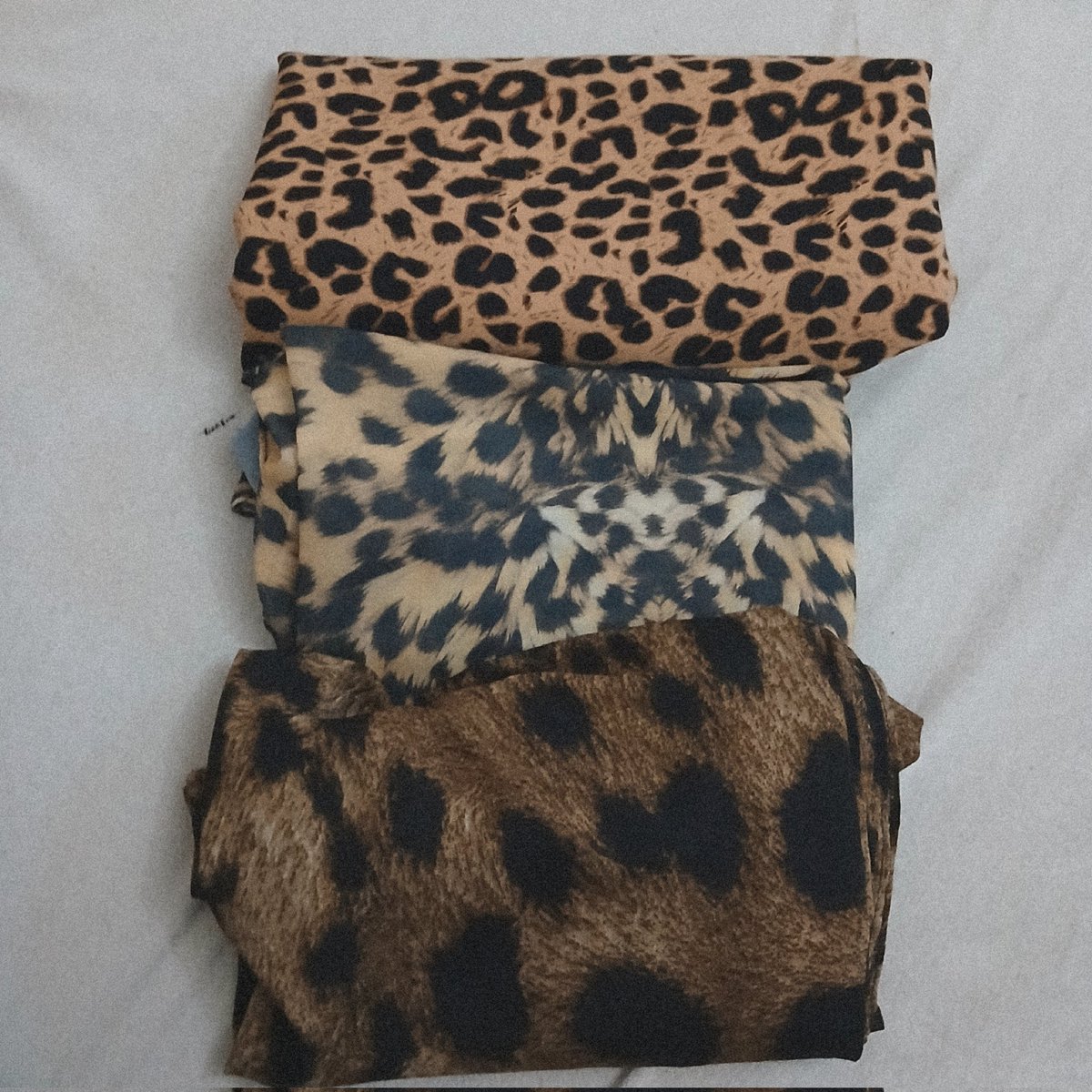 Lily ⚘️🩷 tweet media