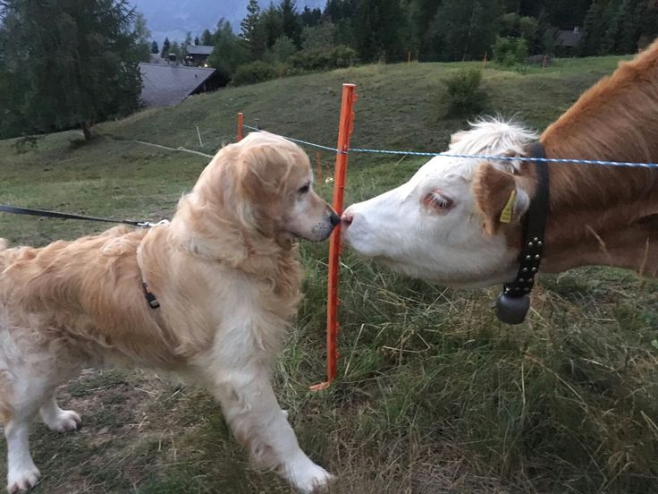 ★ |  tense new meetings