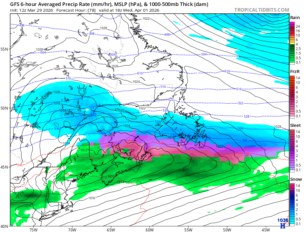 Joey Peddle tweet media