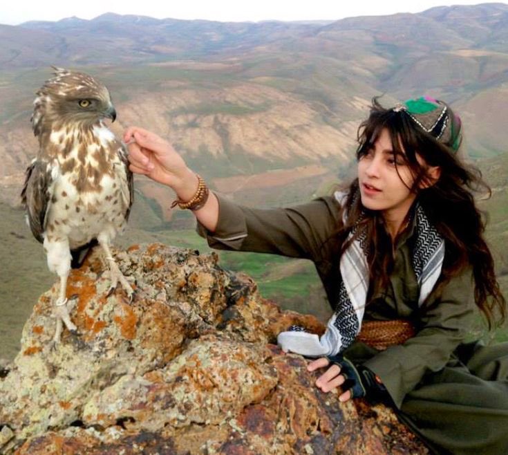 Psicodélica escopeta tweet media