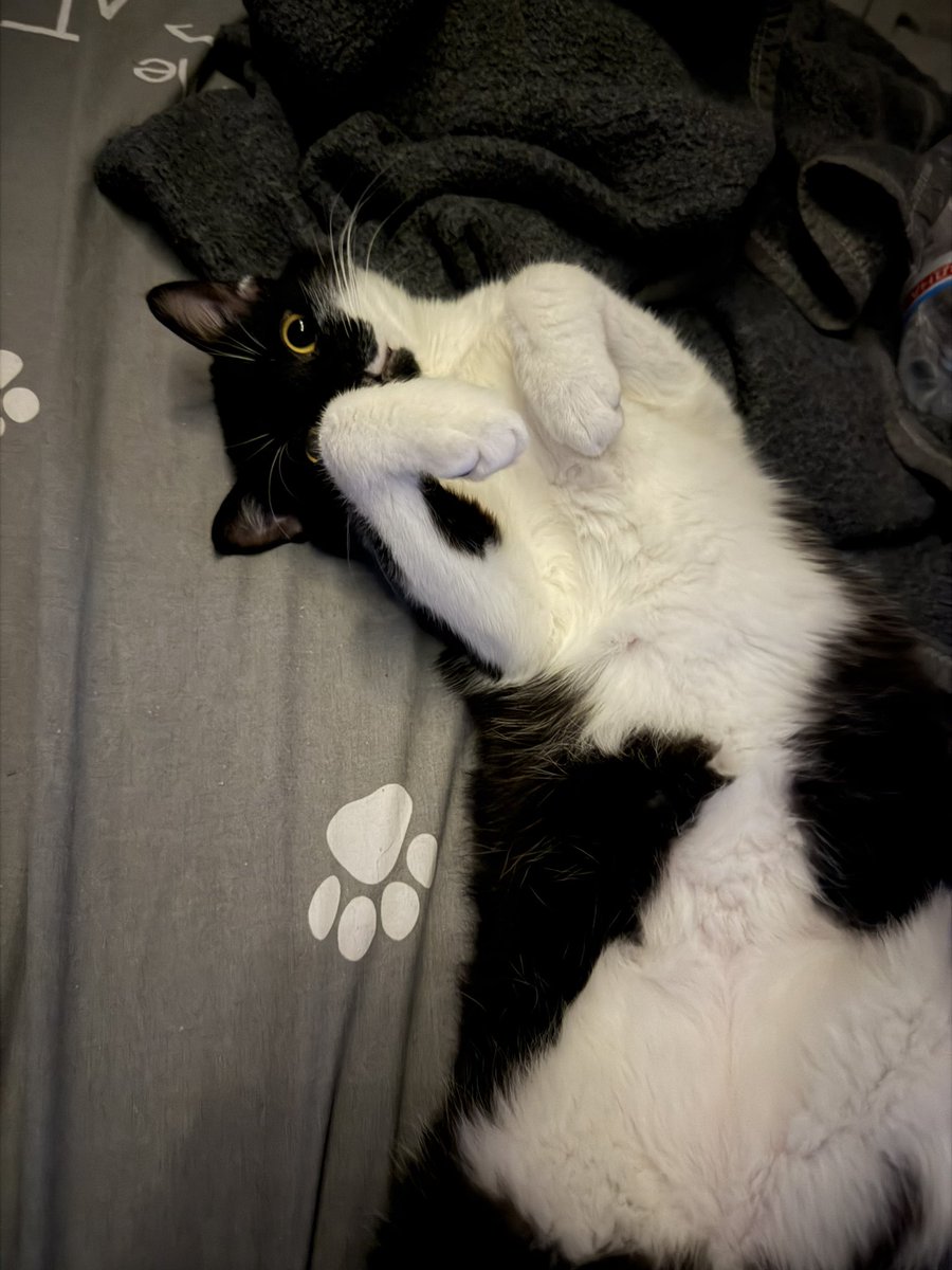 tyatya 🇺🇦 tweet media