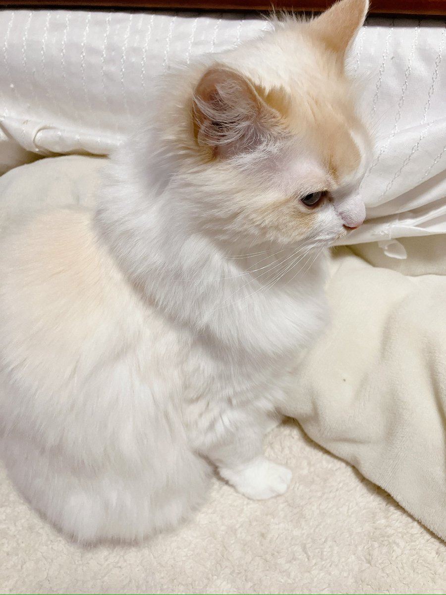 💎💖✨ゆみ✨💖💎 tweet media