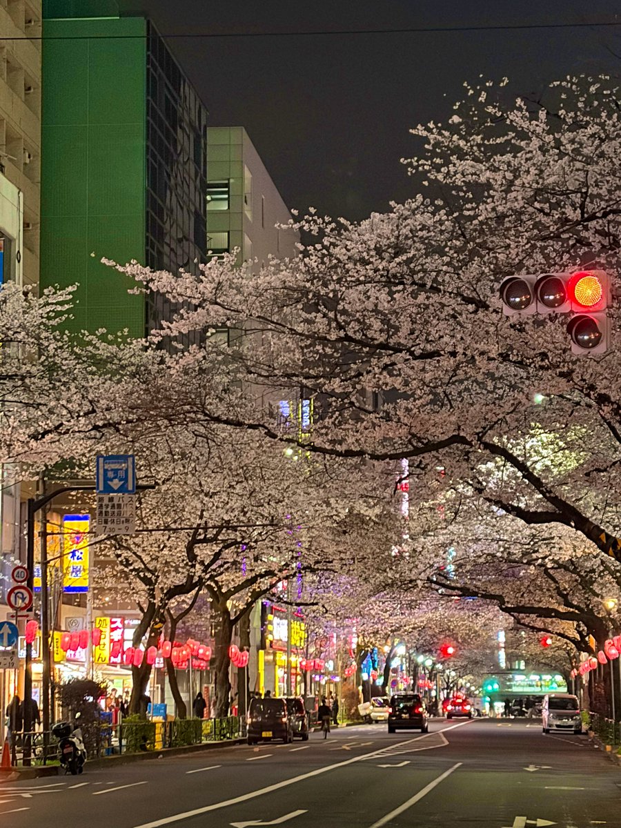 ソラ豆琴美*5/20ワンマンLive tweet media