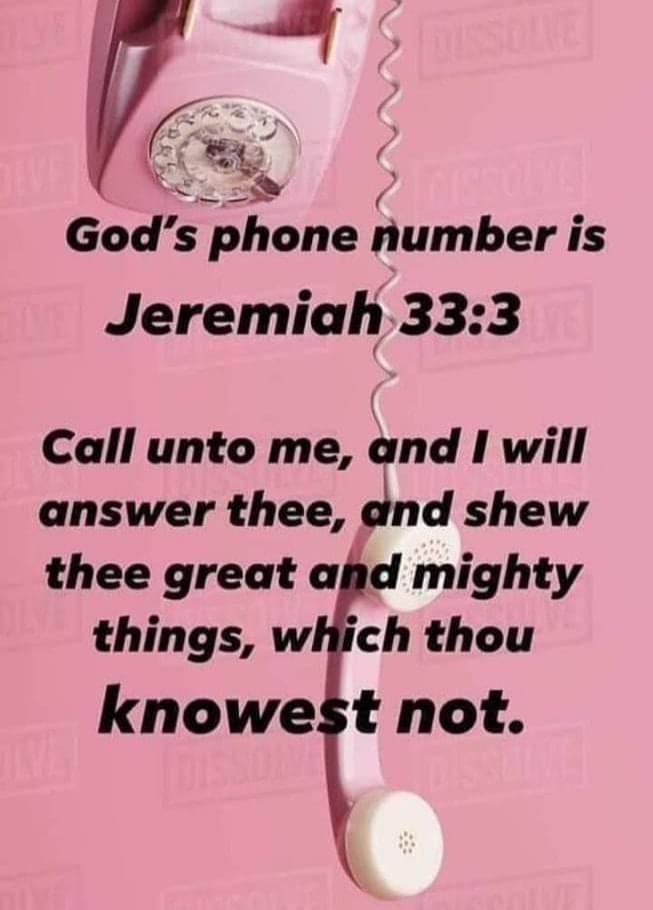 Austere Religious Scholar &Patriot Encourager tweet media