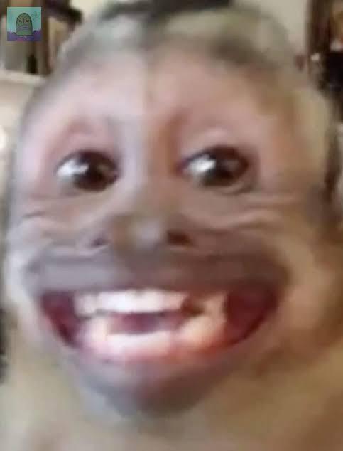 Tanyarl 💚 tweet media